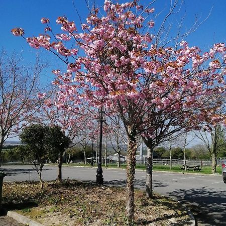 Tara View Apartments Garristown Exterior foto