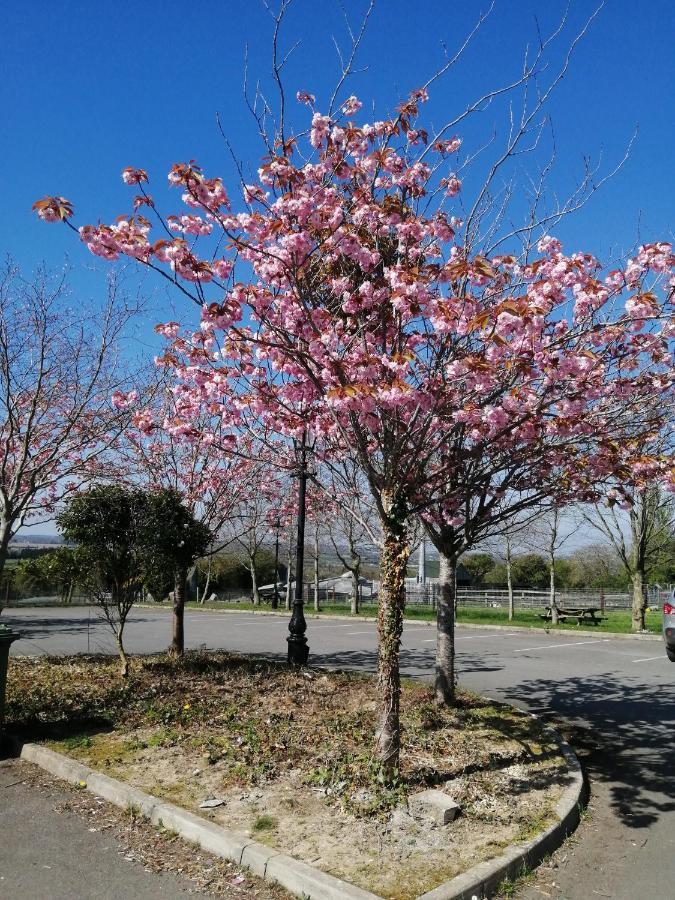 Tara View Apartments Garristown Exterior foto